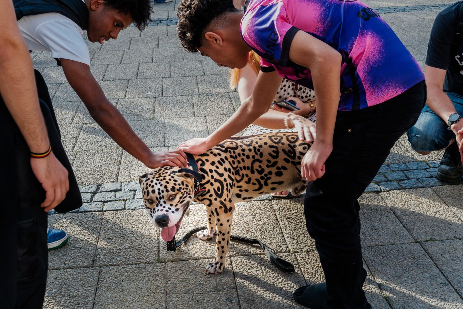 Street photograph, Svezia, 2026